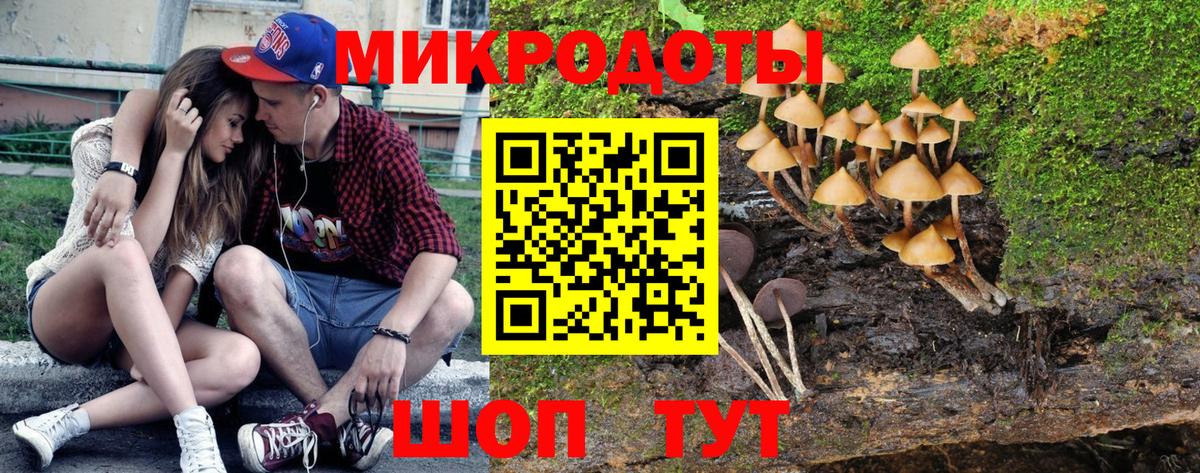 Галлюциногенные грибы прущие грибы Нижнекамск