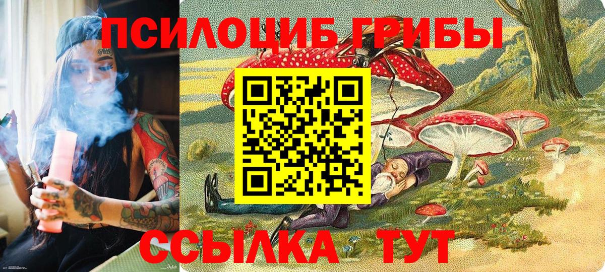 Псилоцибиновые грибы Psilocybe  Вход с VPN  Псилоцибиновые грибы прущие грибы  Нижнекамск 